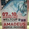 Amadeus Horse Indoors 2017